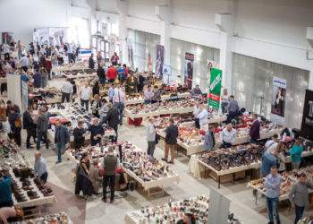 DNI OBUWIA POLSHOES 2019