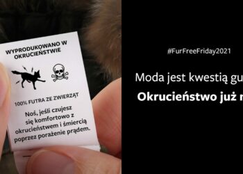 Black Friday bez futra i okrucieństwa – apel międzynarodowej organizacji Humane Society International